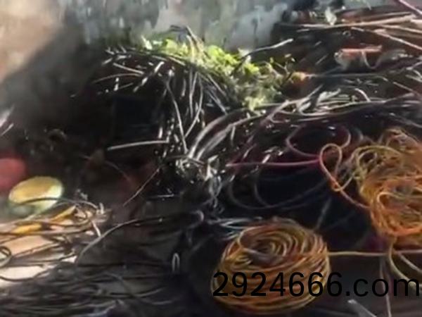 鐢電嚎鐢電紗鍥炴敹瑙嗛�灞曠ず